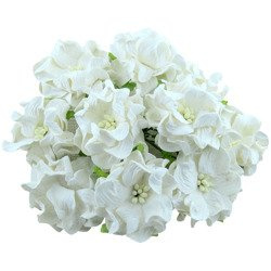 25 WHITE GARDENIAS 3,5CM