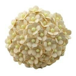 100 MINIATURE DEEP IVORY SWEETHEART BLOSSOM FLOWERS