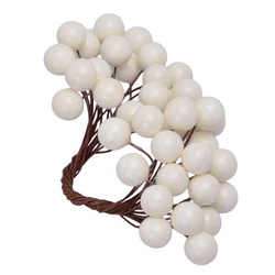 Ecru berries of mountain ash