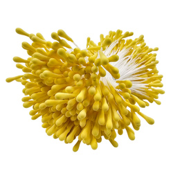 YELLOW DOUBLE HEAD MATT STAMENS 350 pcs.