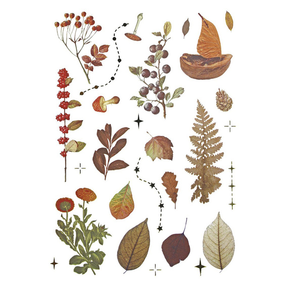 Stickers foil - Mushrooms, cones, leaves