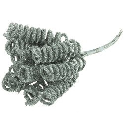 12 SILVER SPIRAL STAMENS