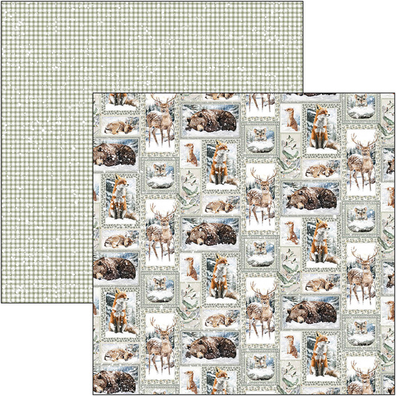 30x30cm paper set - Paterns Pad - Ciao Bella - Forest Tales
