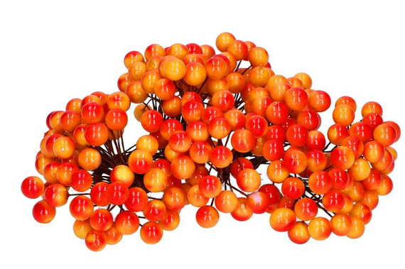 Berries of mountain ash