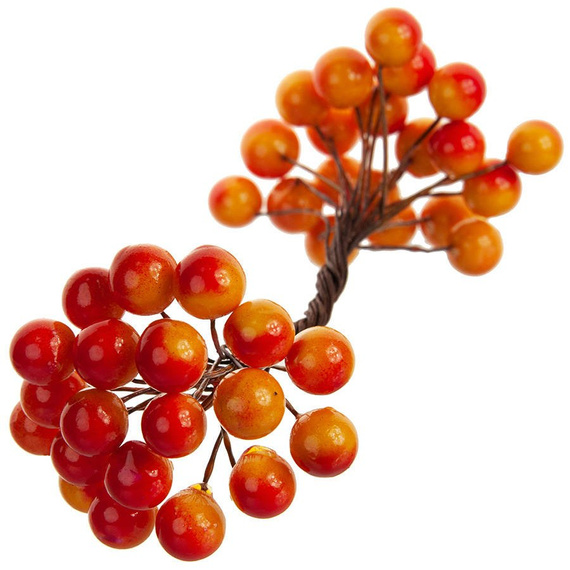 Berries of mountain ash