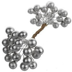 Silver berries of mountain ash