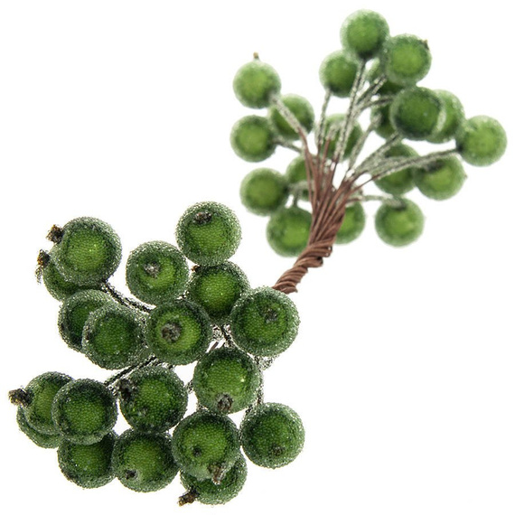 Frosted green berries of mountain ash
