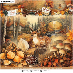 Set of scrapbooking papers 20x20 - StudioLight - Autumn in the Woods