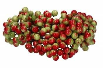 Red and green berries of mountain ash