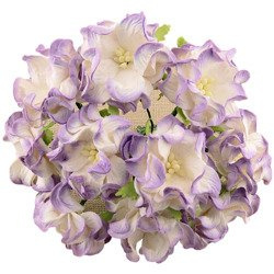 5 2-TONE LILAC PINK GARDENIAS 6cm
