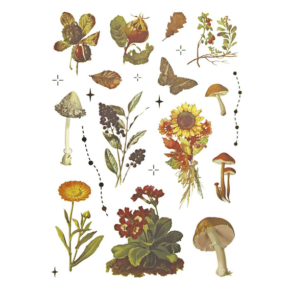 Stickers foil - Mushrooms, cones, leaves