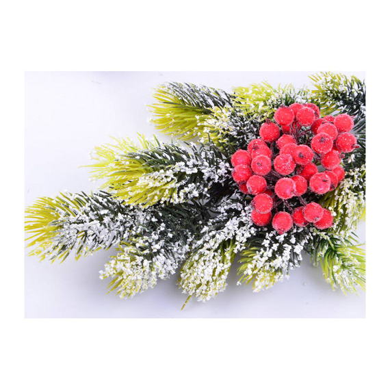 Frosted red berries of mountain ash