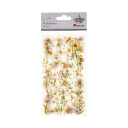 Stickers foil - Daisies
