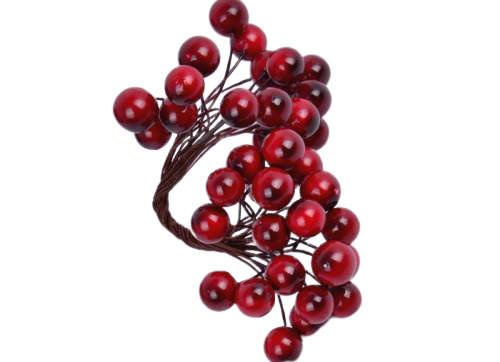  Dark red berries of mountain ash