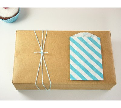 Paper Bags 10pcs 2.75 x 4 " (7x10cm) - Aqua Diagonal Stripes - Whisker Graphic