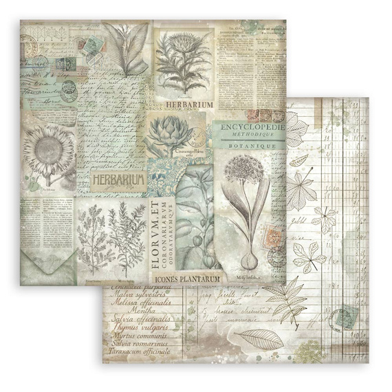 Scrapbooking Craft Papier Set 20x20 - Stamperia - Herbarium Silvae backgrounds