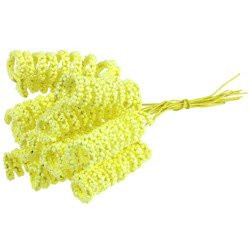 12 YELLOW SPIRAL STAMENS