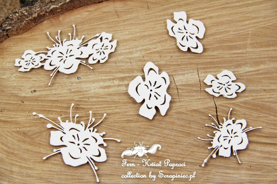 Chipboard - Fern - Fern flowers