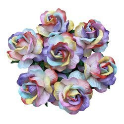 25 LARGE RAINBOW COLORED MULBERRY WILD ROSES 40mm (1½")