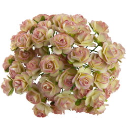 50 2-TONE CHAMPAGNE MULBERRY PAPER OPEN ROSES 25MM