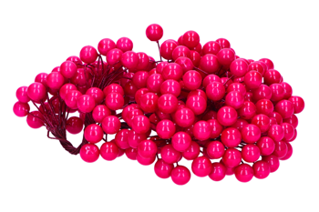 Bright pink berries of mountain ash