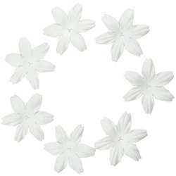 100 FOUNDATION WHITE BLOOMS (2.5cm / 1")