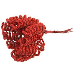 12 RED SPIRAL STAMENS