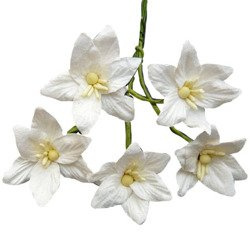50 WHITE MULBERRY PAPER LILY FLOWERS