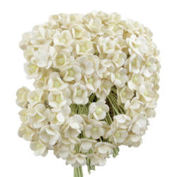 100 MINIATURE IVORY SWEETHEART BLOSSOM FLOWERS