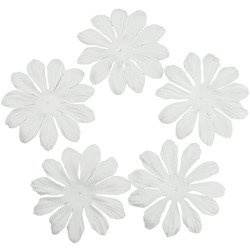 100 FOUNDATION WHITE BLOOMS (6,5cm / 2,5")