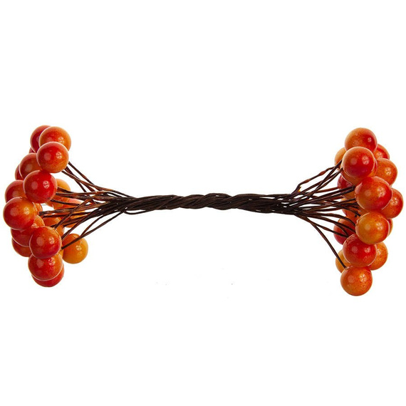 Berries of mountain ash