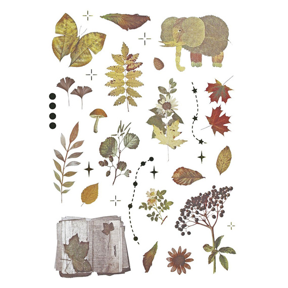 Stickers foil - Mushrooms, cones, leaves