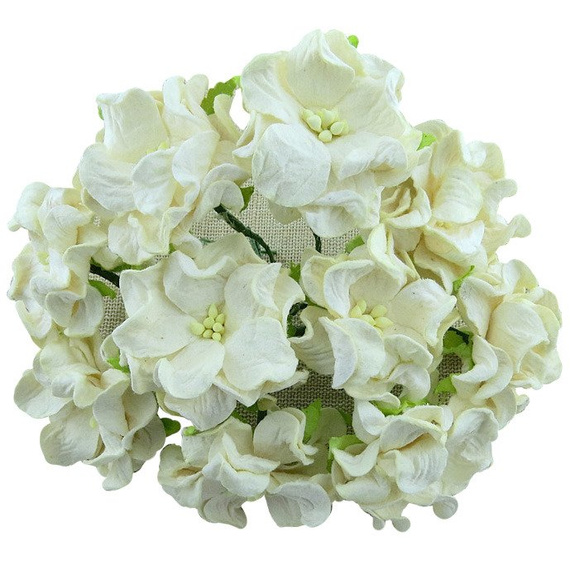 5 DEEP IVORY GARDENIAS 6CM