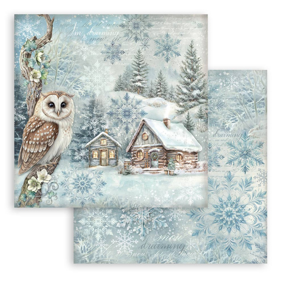 Set of 30x30 scrapbooking papers - Stamperia - The Owl's House