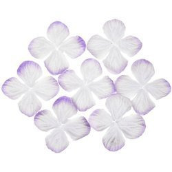 100 2-TONE LILAC HYDRANGEA BLOOMS 35MM