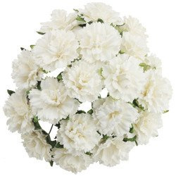 50 WHITE MULBERRY PAPER CARNATION FLOWERS