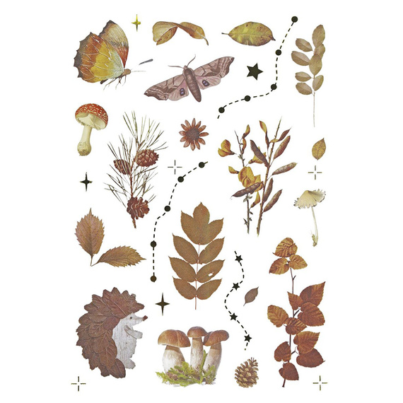 Stickers foil - Mushrooms, cones, leaves