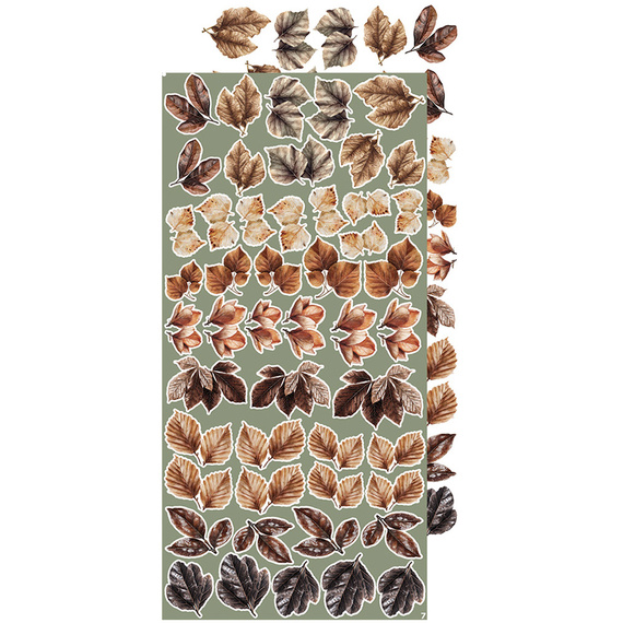 Time scrapbooking accessories set - Craft o'clock - All Leaves 04 - MIX