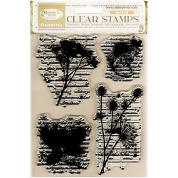 Transparent stamp - Herbarium Silvae botanist - Stamperia